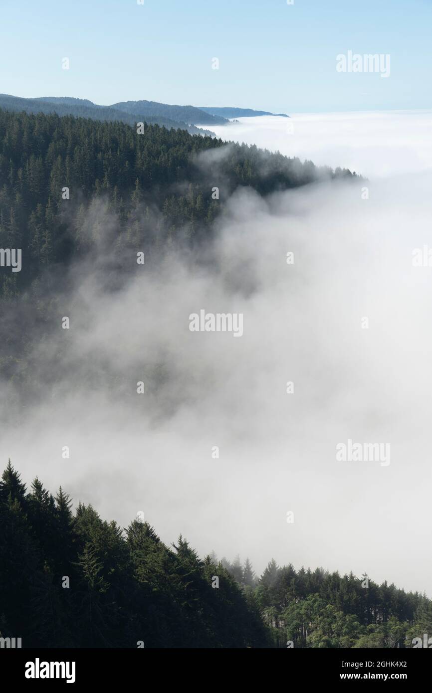Nebbia costiera accumulata lungo il bordo della Oregon Coast Range, USA Foto Stock