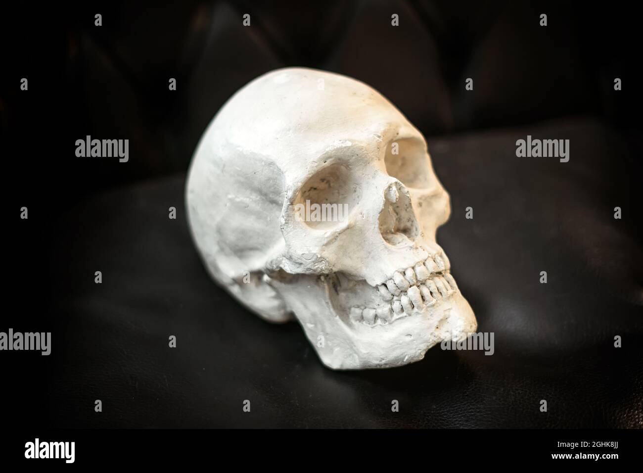 Vecchio modello in gesso scheggiato di un cranio umano visualizzato su pelle nera in un concetto di scienza, anatomia, medicina o Halloween con copyspace Foto Stock