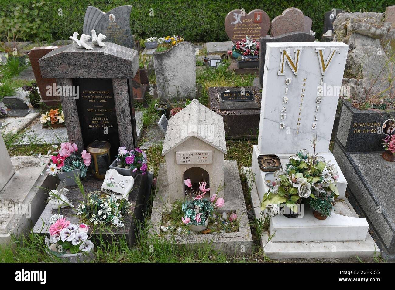 Tomba dei cani nel 'Cimetiere des Chiens'in Asnieres-sur-Seine alla periferia di Parigi, Francia il 2021 maggio. Il 'Cimitero dei cani e di altri animali domestici' parigino si dice essere il più antico cimitero pubblico del mondo per animali domestici. Le 'Cimetiere des Chiens' è un lungo e stretto cimitero con attraenti giardini paesaggistici che si affacciano sulla Senna. Le file ordinatamente disposte di tombe includono lapidi e altri monumenti dalla fine del 19 ° secolo ai giorni nostri, molti con statue o foto di amati animali domestici. Il cimitero deve i suoi inizi ad una legge che è stata approvata nel 1898, quando il governo della città di Parigi Foto Stock