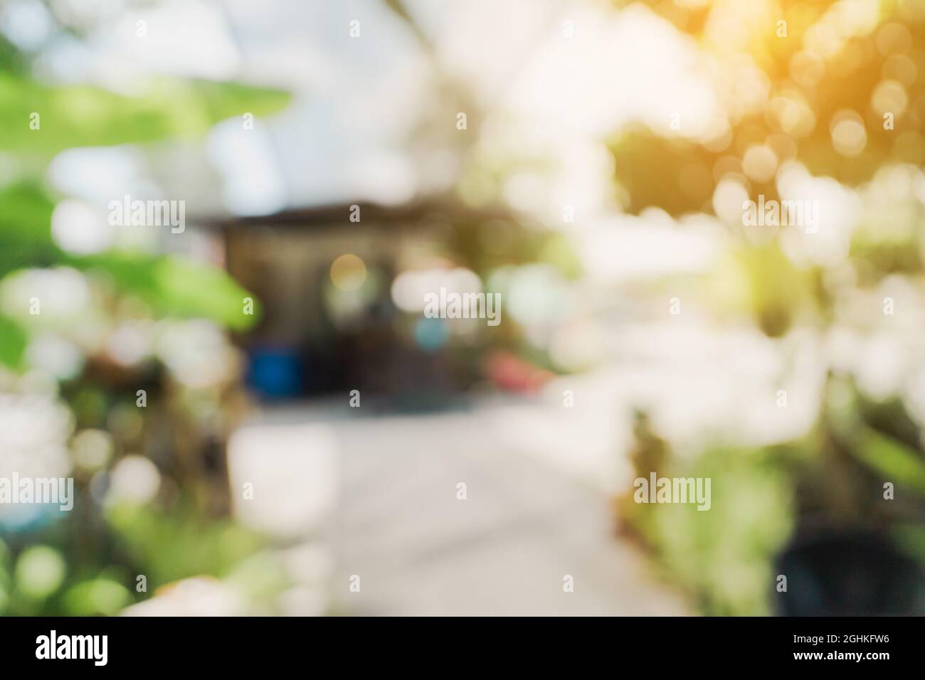 bokeh sfocato e sfondo sfocato di alberi da giardino in caffetteria con luce solare. Foto Stock