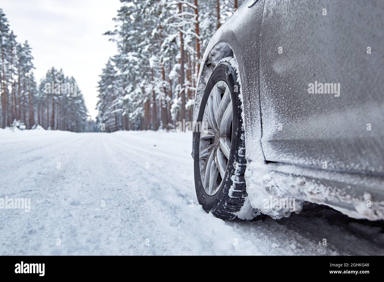 18 gennaio 2021, Engure Lettonia: Auto su strada innevata nella foresta in inverno Foto Stock