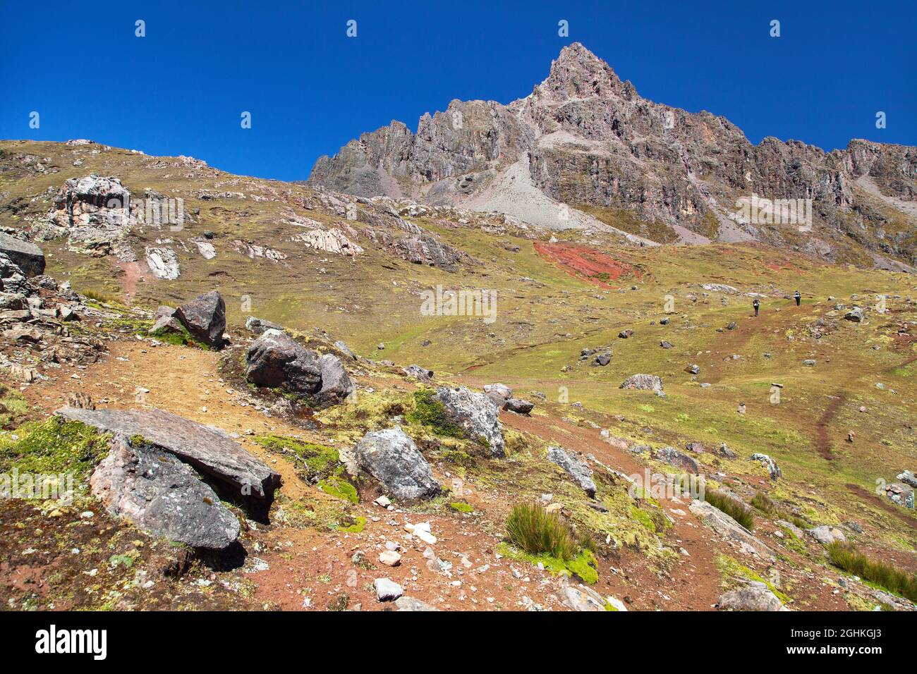 Sentiero di trekking Ausangate con due turisti, circuito di Ausangate, Cordillera Vilcanota, Cuzco regione, Perù, Paesaggio delle Ande peruviane, Sud America Foto Stock