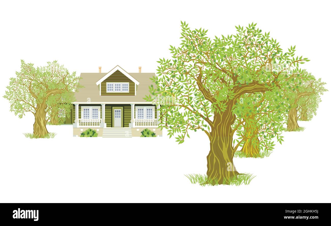 Casa di campagna tra alberi isolati su bianco, illustrazione Illustrazione Vettoriale