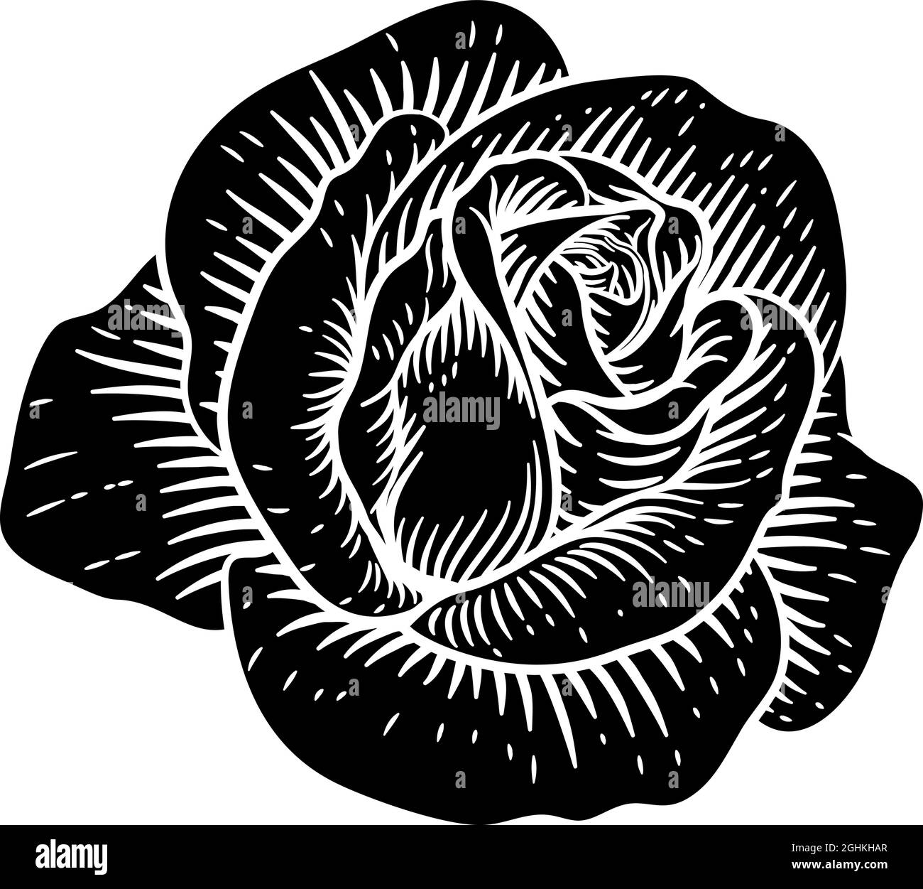 Disegno in legno vintage con fiore di rose Illustrazione Vettoriale