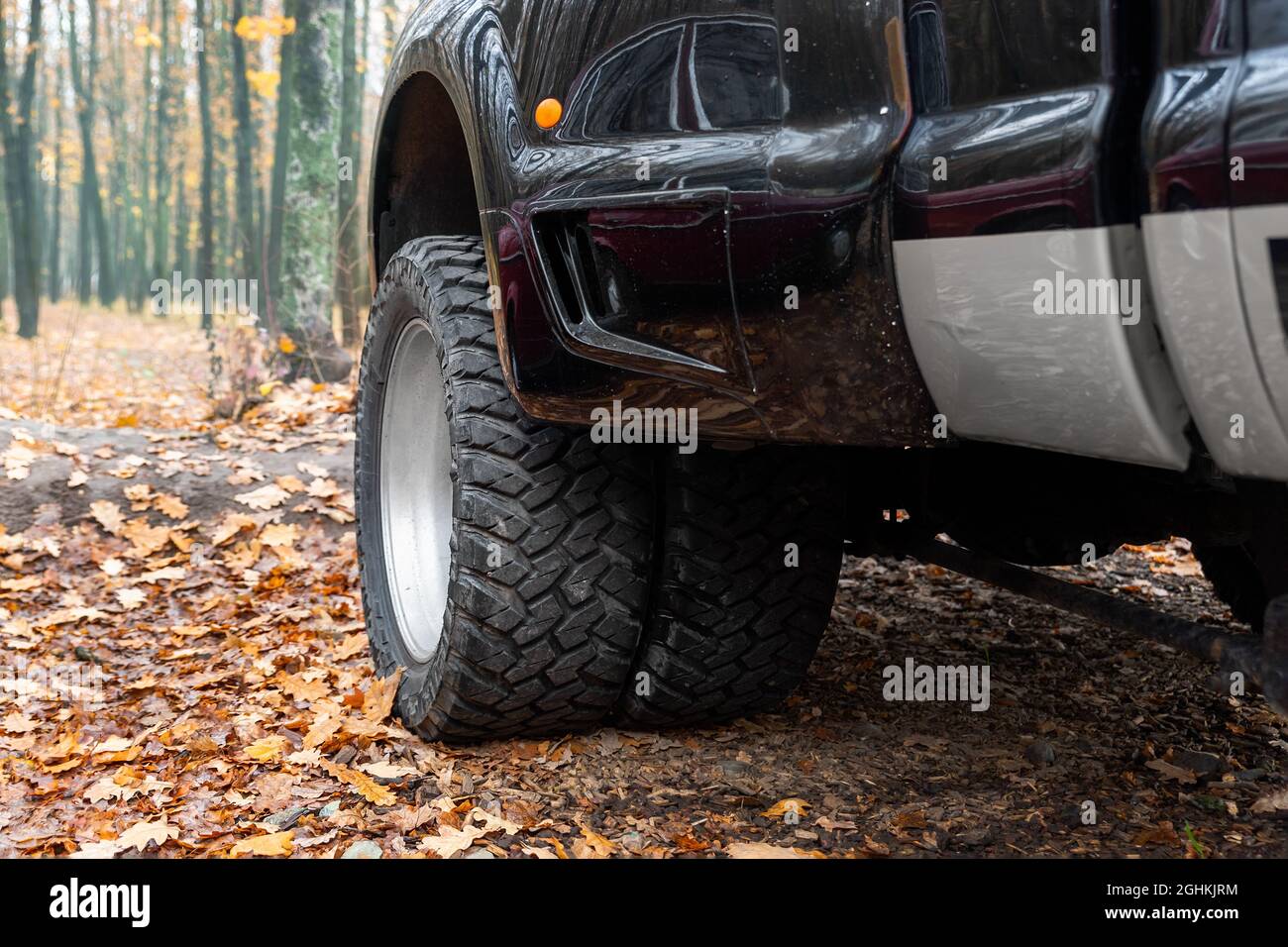 Primo piano dettaglio vista pov inferiore della ruota doppia offroad prestazioni della macchina pick-up super heavy duty camion auto in autunno foresta campagna strada Foto Stock