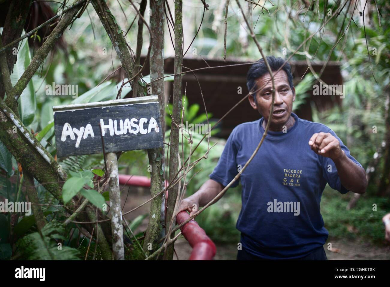 l'uomo nativo spiega il processo culturale di ayahuasca Foto Stock