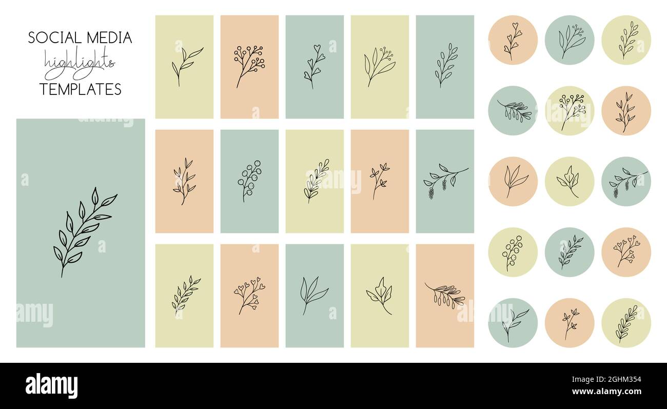 Instagram mette in evidenza le storie modelli e icone con piante disegnate  a mano. Sfondi floreali minimal vettoriale alla moda Immagine e Vettoriale  - Alamy