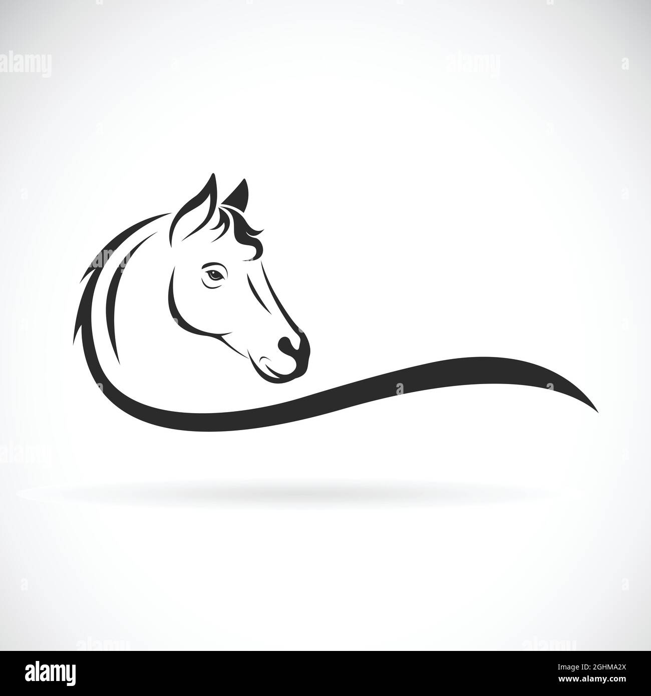 Vettore di testa di cavallo su sfondo bianco. Animale selvatico. Illustrazione vettoriale a livelli facilmente modificabile. Illustrazione Vettoriale
