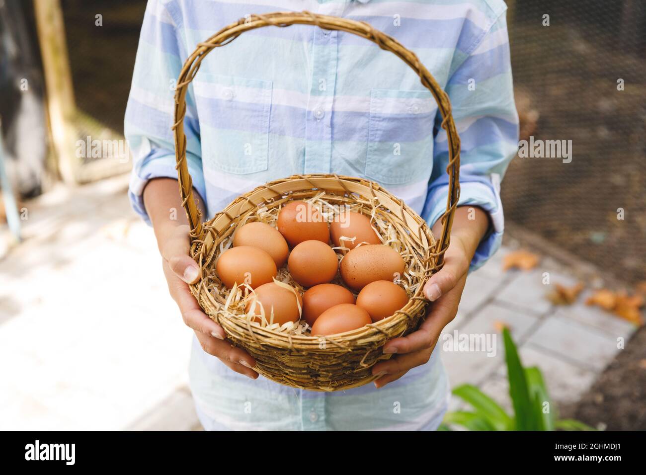 Sezione centrale del cestino di tenuta del ragazzo asiatico, raccogliendo le uova dalla casa di gallina in giardino Foto Stock