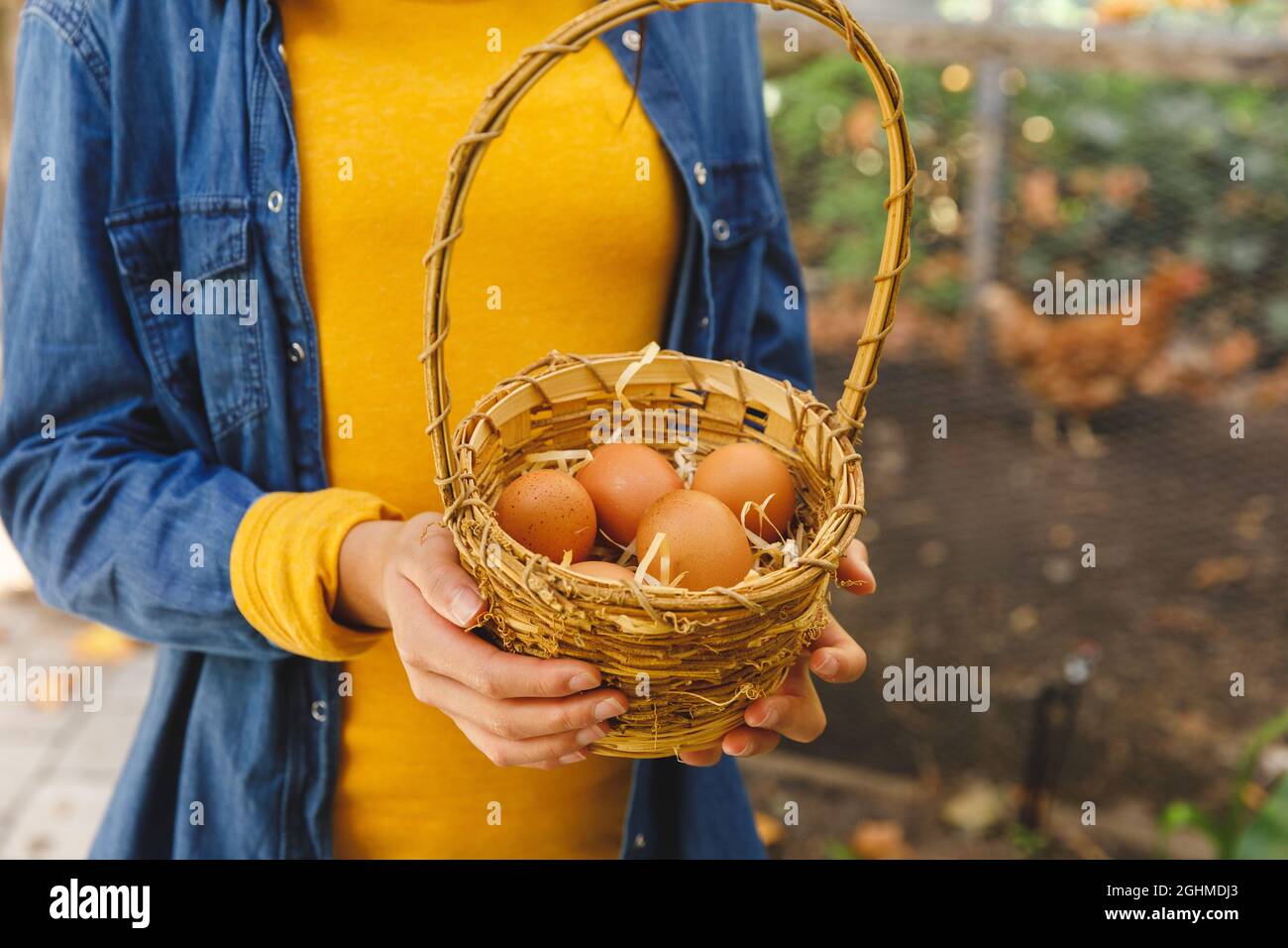 Sezione centrale del cestino di tenuta del ragazzo asiatico, raccogliendo le uova dalla casa di gallina in giardino Foto Stock