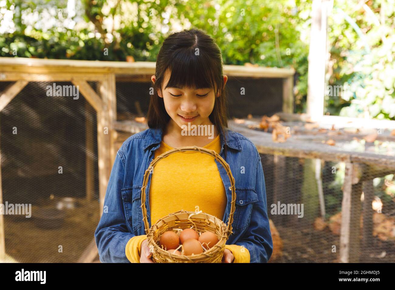Ragazza asiatica sorridente e che tiene un cestino, raccogliendo le uova dalla casa di gallina in giardino Foto Stock