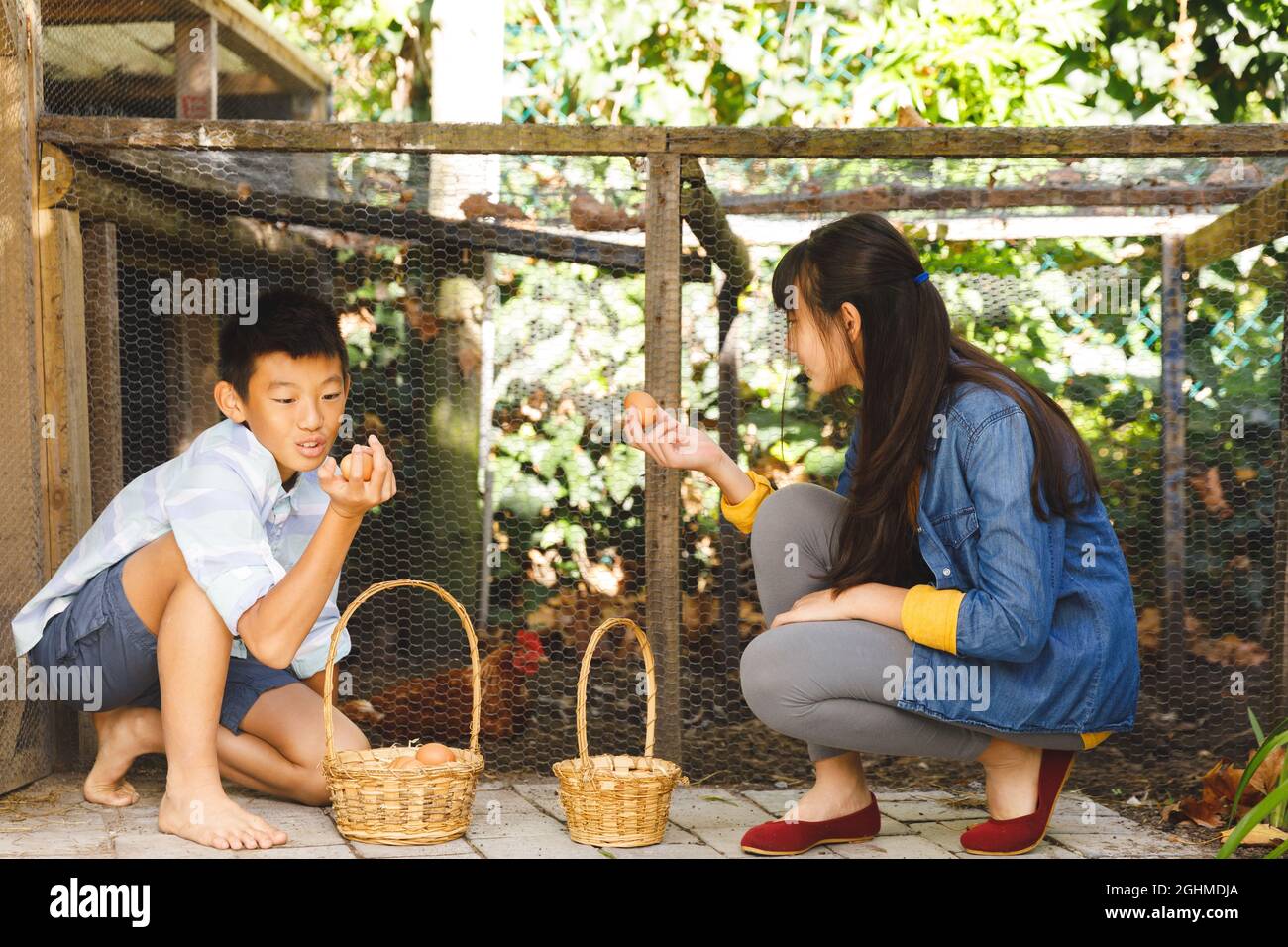 Fratello asiatico e sorella raccolta uova da casa gallina in giardino Foto Stock