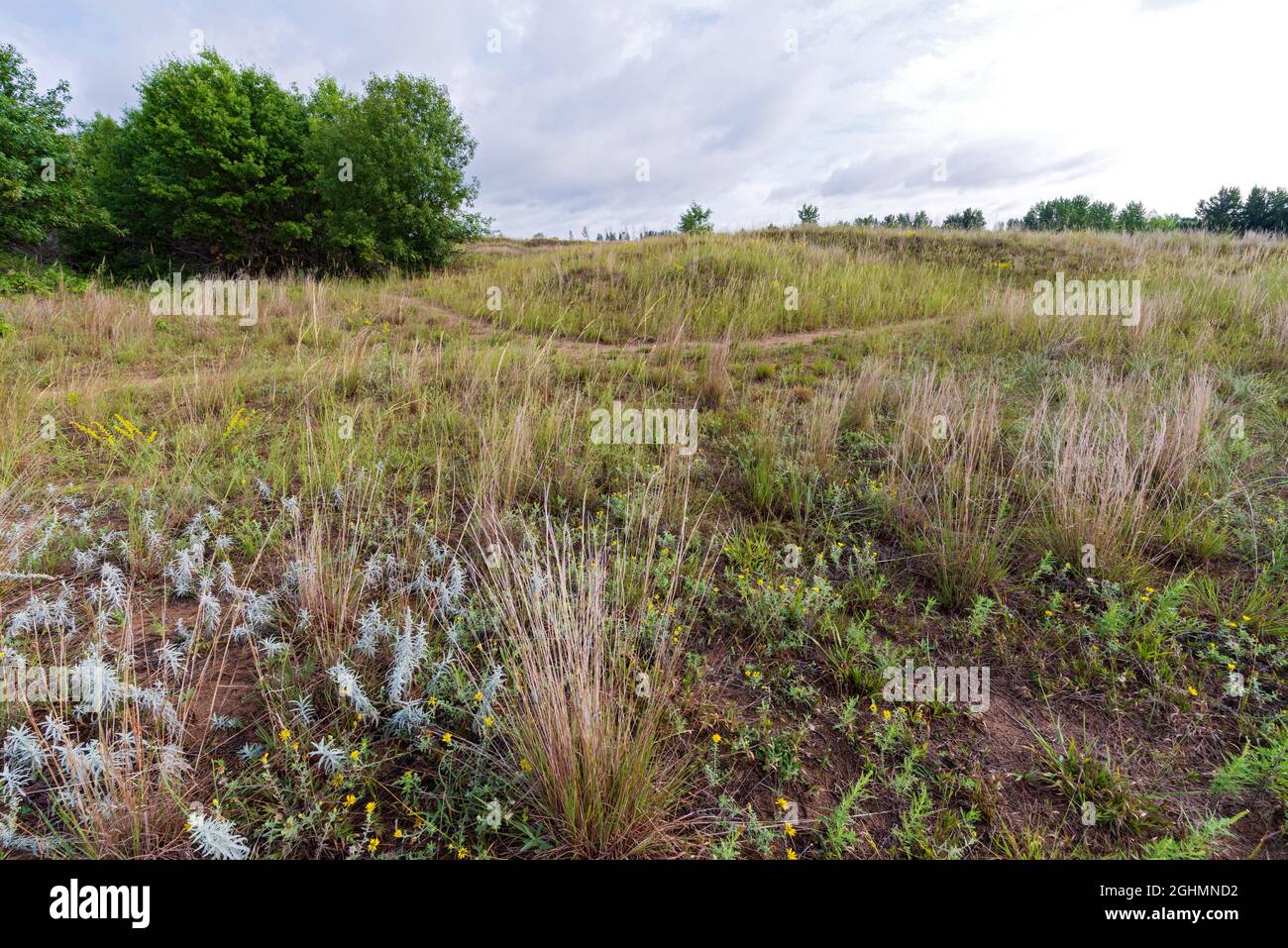 nuvola grigia dune scientifico naturale area prateria paesaggio in boschetto cottage minnesota Foto Stock