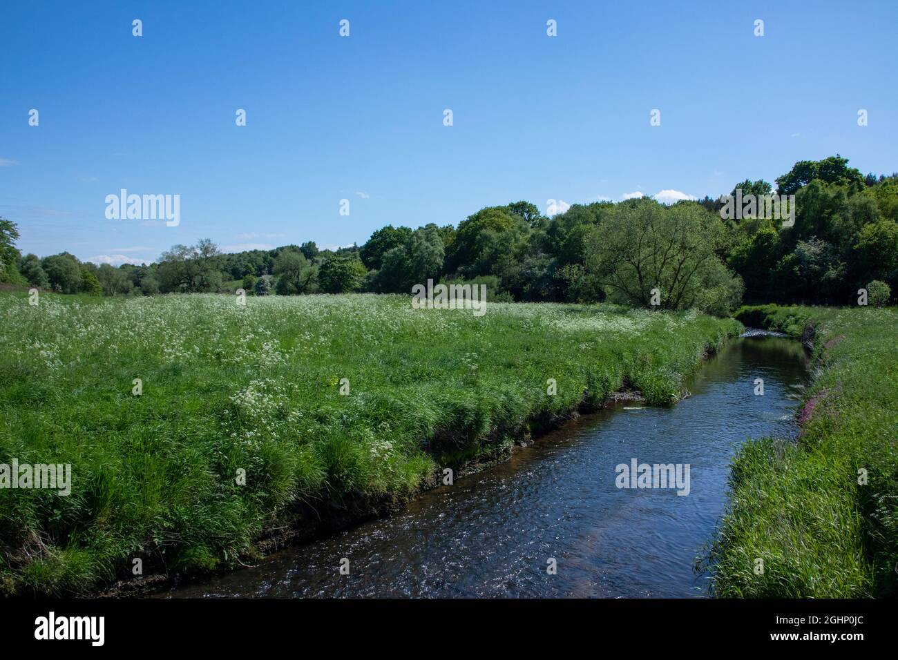 River Browney a Bear Park, County Durham Foto Stock
