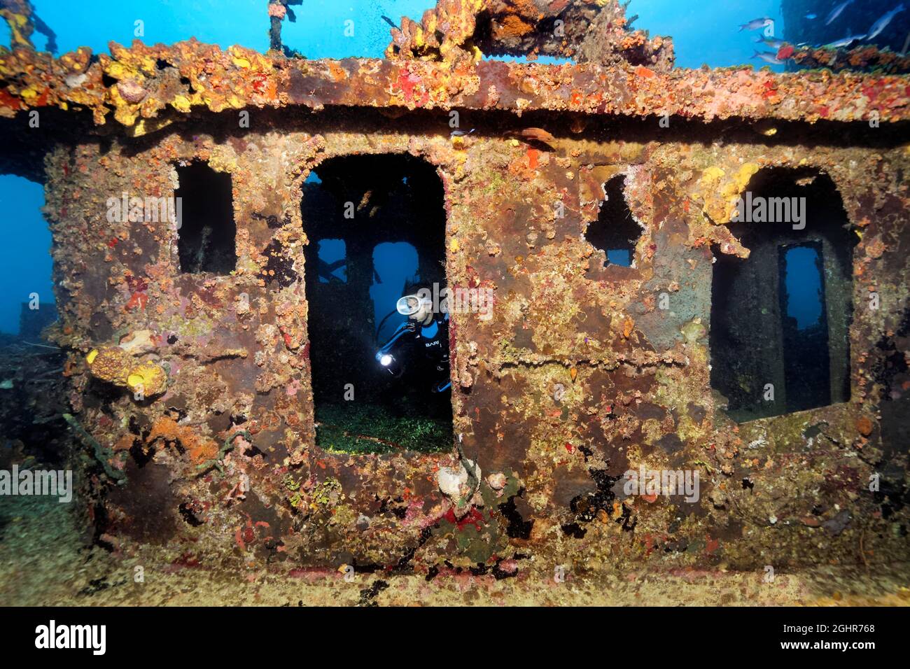 Subacqueo in timoneria, ponte Komando, rimorchiatore, relitto, naufragio, Virgen de Altagracia, Mar dei Caraibi vicino a Playa St. Lucia, Provincia di Camagueey Foto Stock