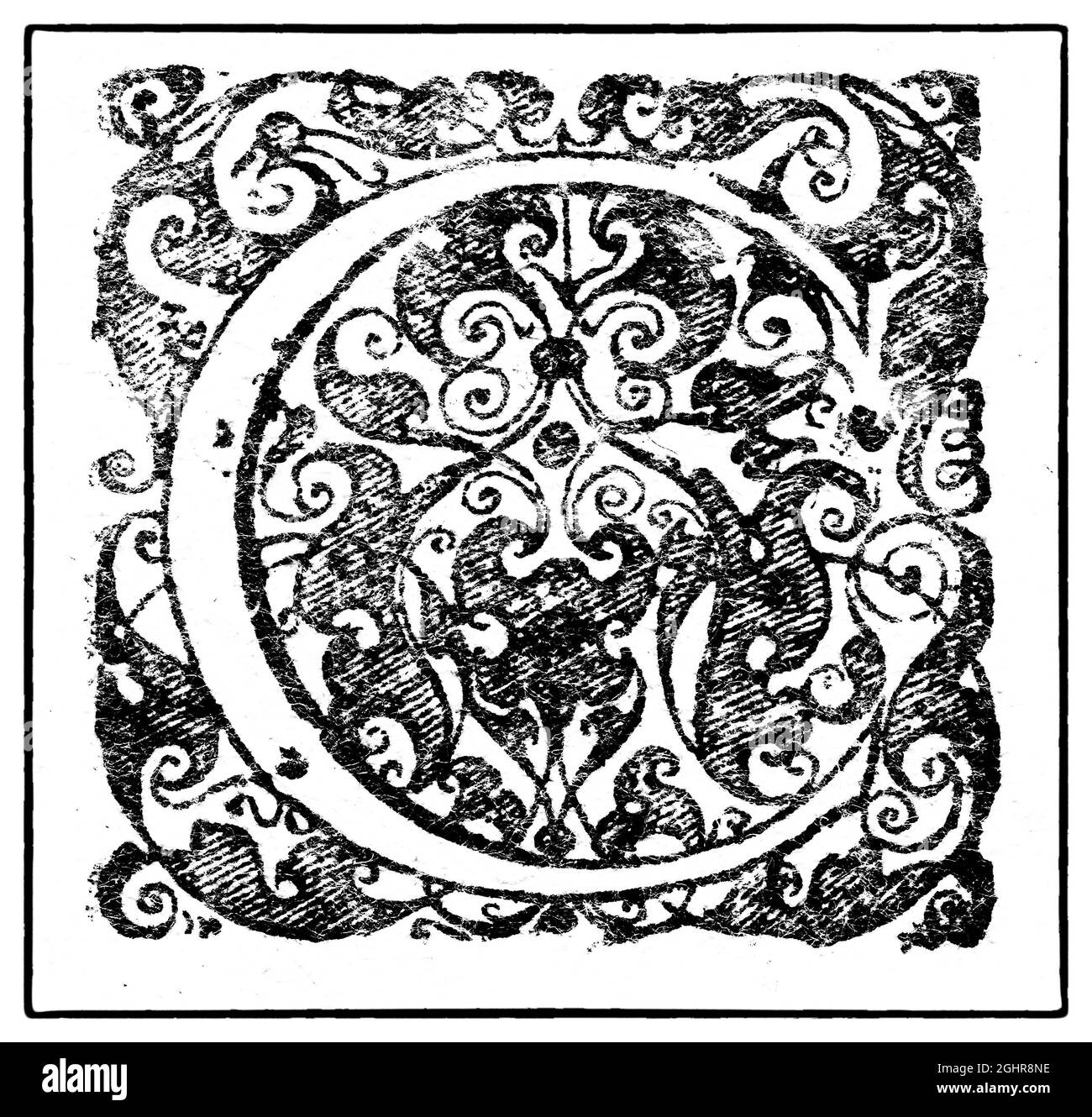 C iniziale o iniziale, lettera iniziale ornamentale, incisione in rame di Basilius Besler, di Hortus Eystettensis, 1613 Foto Stock