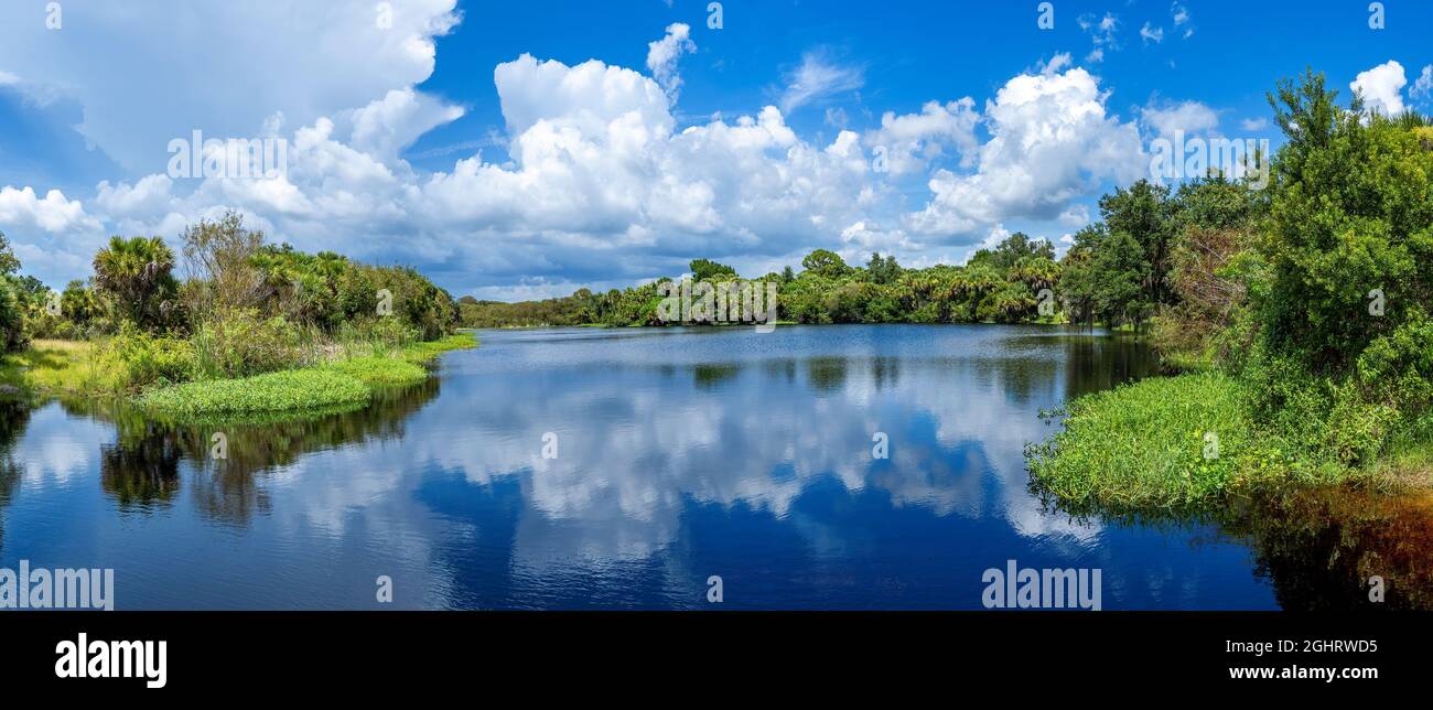 Grande nuvola bianca che si riflette nel lago nella riserva di Deer Prarie Creek a Venezia Florida USA Foto Stock