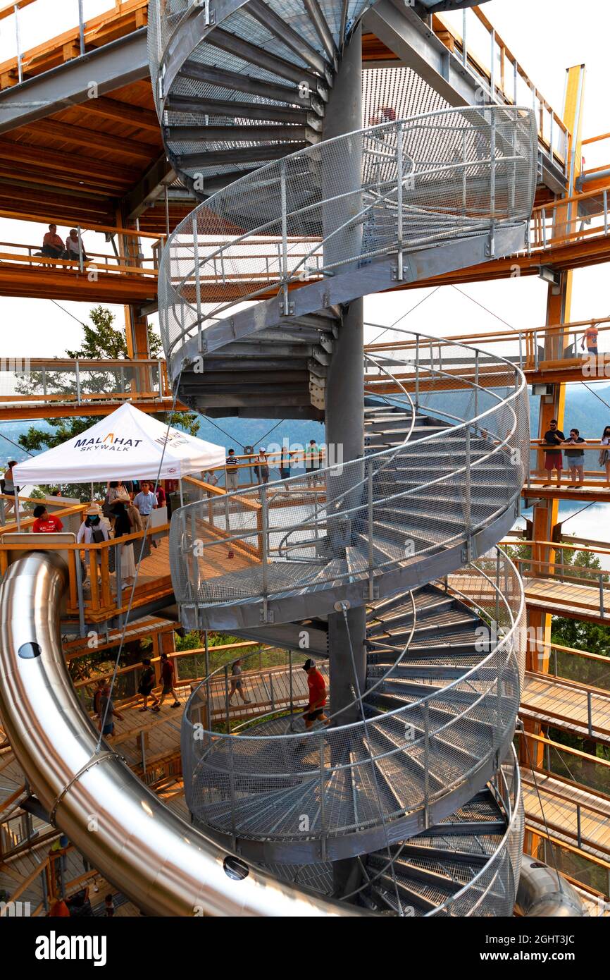 Malahat Skywalk, Malahat, Vancouver Island, British Columbia, Canada Foto Stock