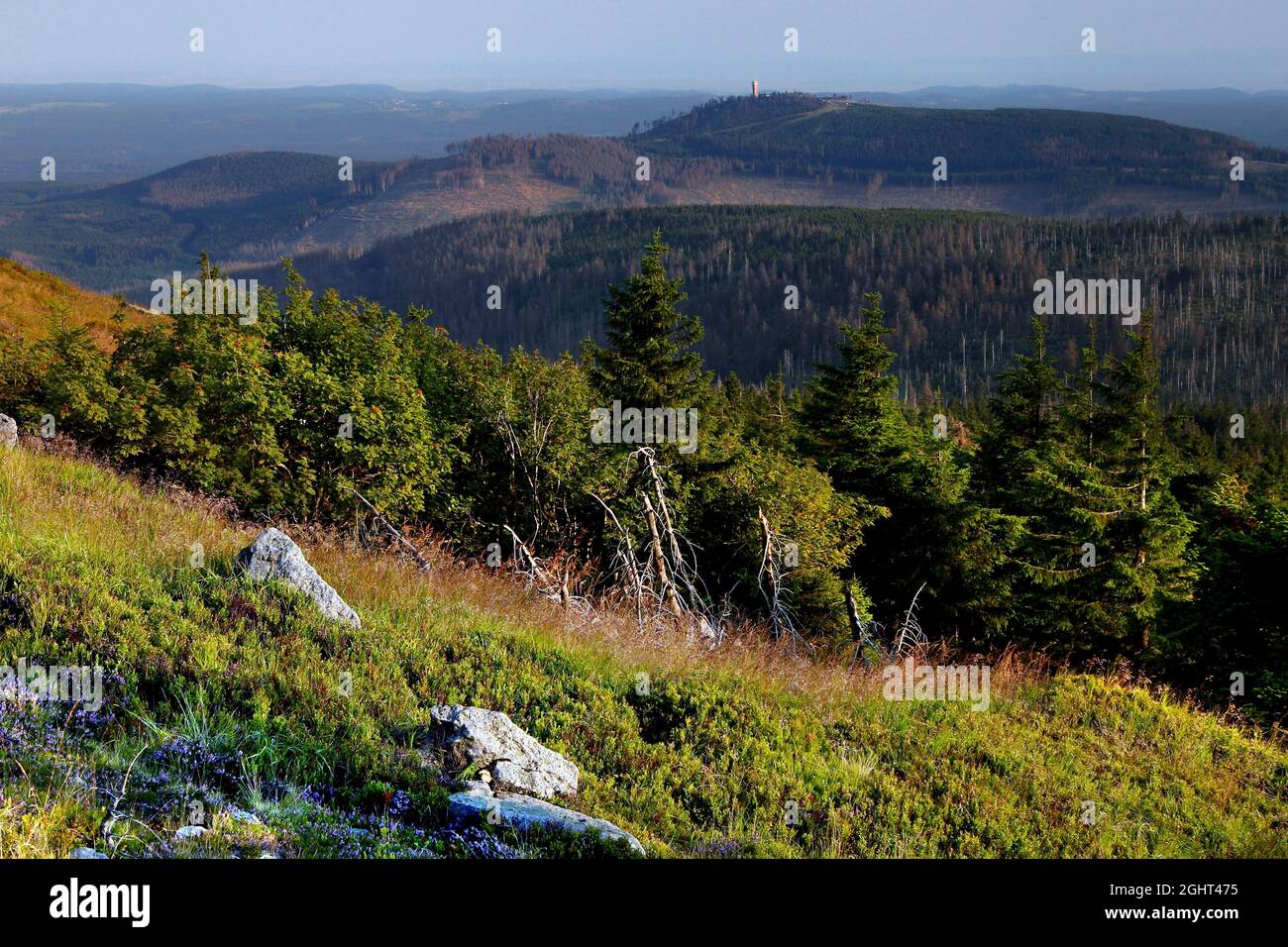 Vista dei Monti Harz dalla cima del Brocken, blocchi di granito, Blocksberg, altopiano di cima, Harz Parco Nazionale, Schierke, Werningerode, Harz Foto Stock