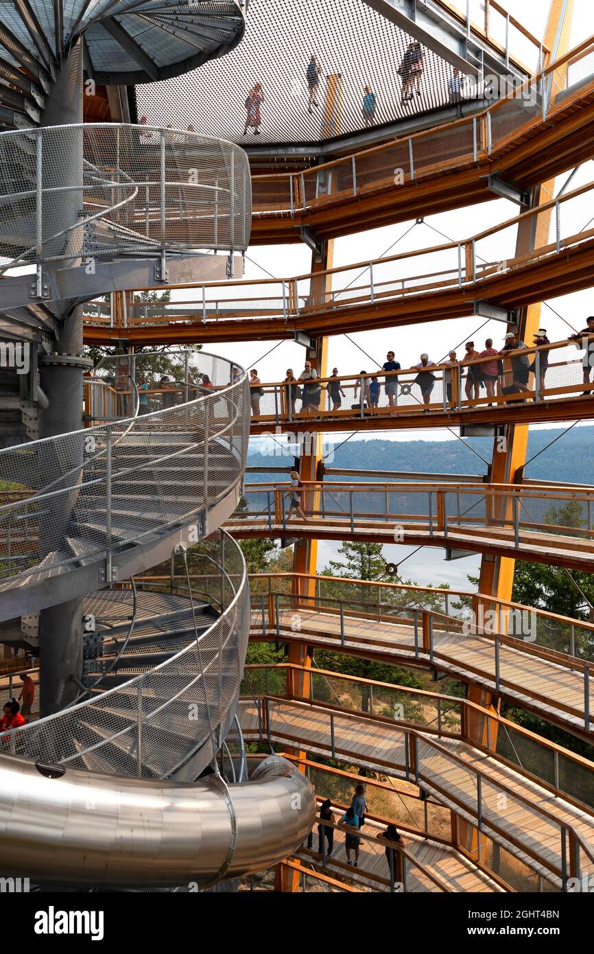 Malahat Skywalk, Malahat, Vancouver Island, British Columbia, Canada Foto Stock