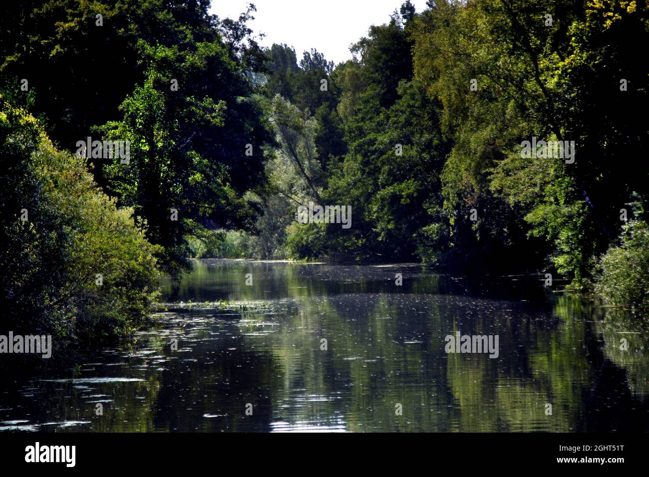 Wakenitz, Amazzonia del Nord, Border River, Column Trail, Hole Plate Trail, Inner German Border Installation, Green Belt, Border Trail, Lauenburg Foto Stock