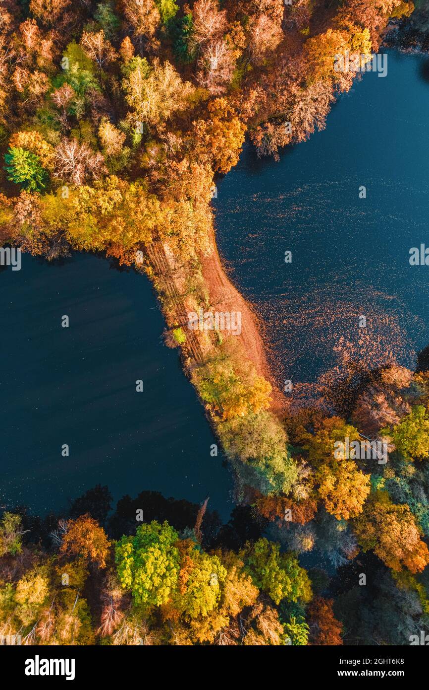 Veduta aerea della foresta autunnale con lago dal drone. Alberi con foglie colorate di arancio, rosso, giallo e verde. Paesaggio autunnale Foto Stock