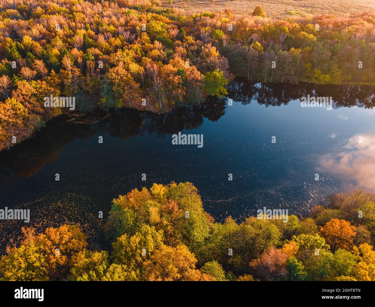 Veduta aerea del lago nella splendida foresta autunnale. Bellissimo paesaggio con alberi con foglie verdi, rosse e arancioni. Vista dall'alto dal drone Foto Stock