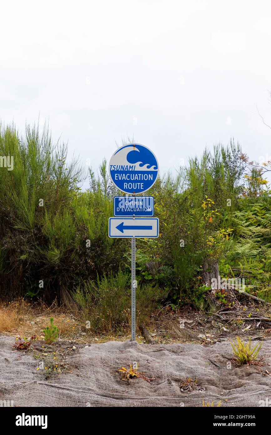 Tsunami evacuazione Route autostrada strada segno Vancouver Island British Columbia. Foto Stock