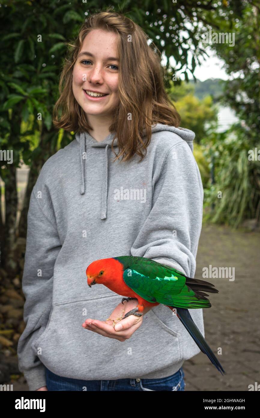 Ragazza sorridente che alimenta il pappagallo del re, Lamington National Park, Queensland, Australia Foto Stock