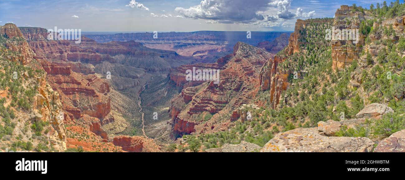Vista aerea di Unkar Canyon e finestra Angels, North Rim, Grand Canyon, Arizona, Stati Uniti Foto Stock
