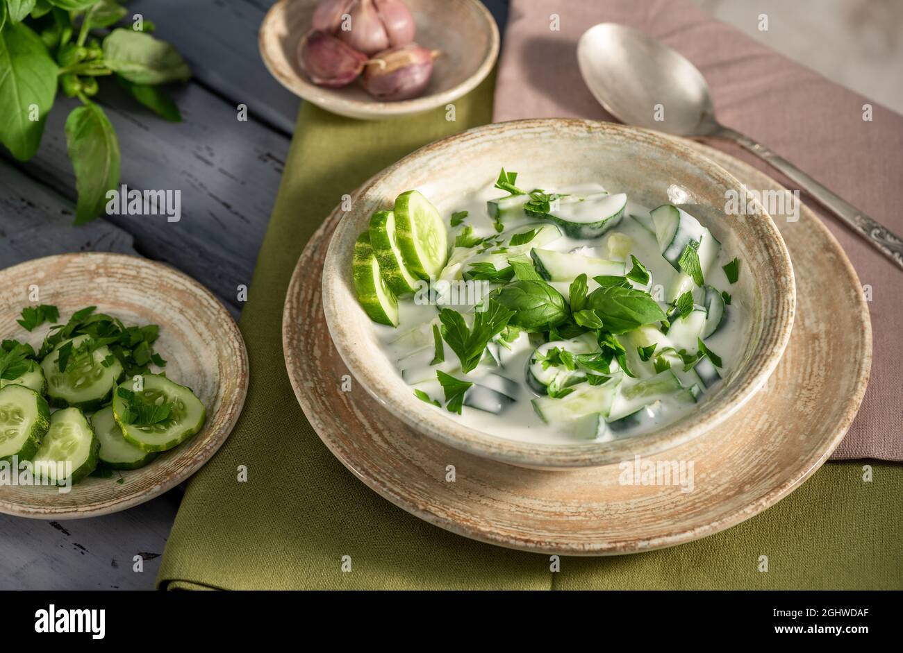 Salsa di raita indiana con erbe e cetrioli. Su un tavolo di legno. Messa a fuoco selettiva Foto Stock