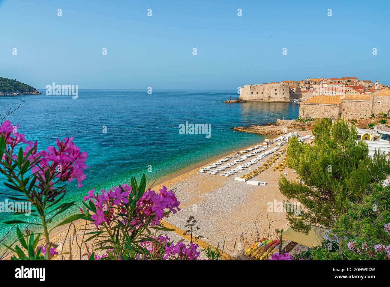 Città vecchia di Dubrovnik con spiaggia sabbiosa di Banje e fiori sul mare Adriatico in Croazia, Europa. Destinazione estiva Foto Stock