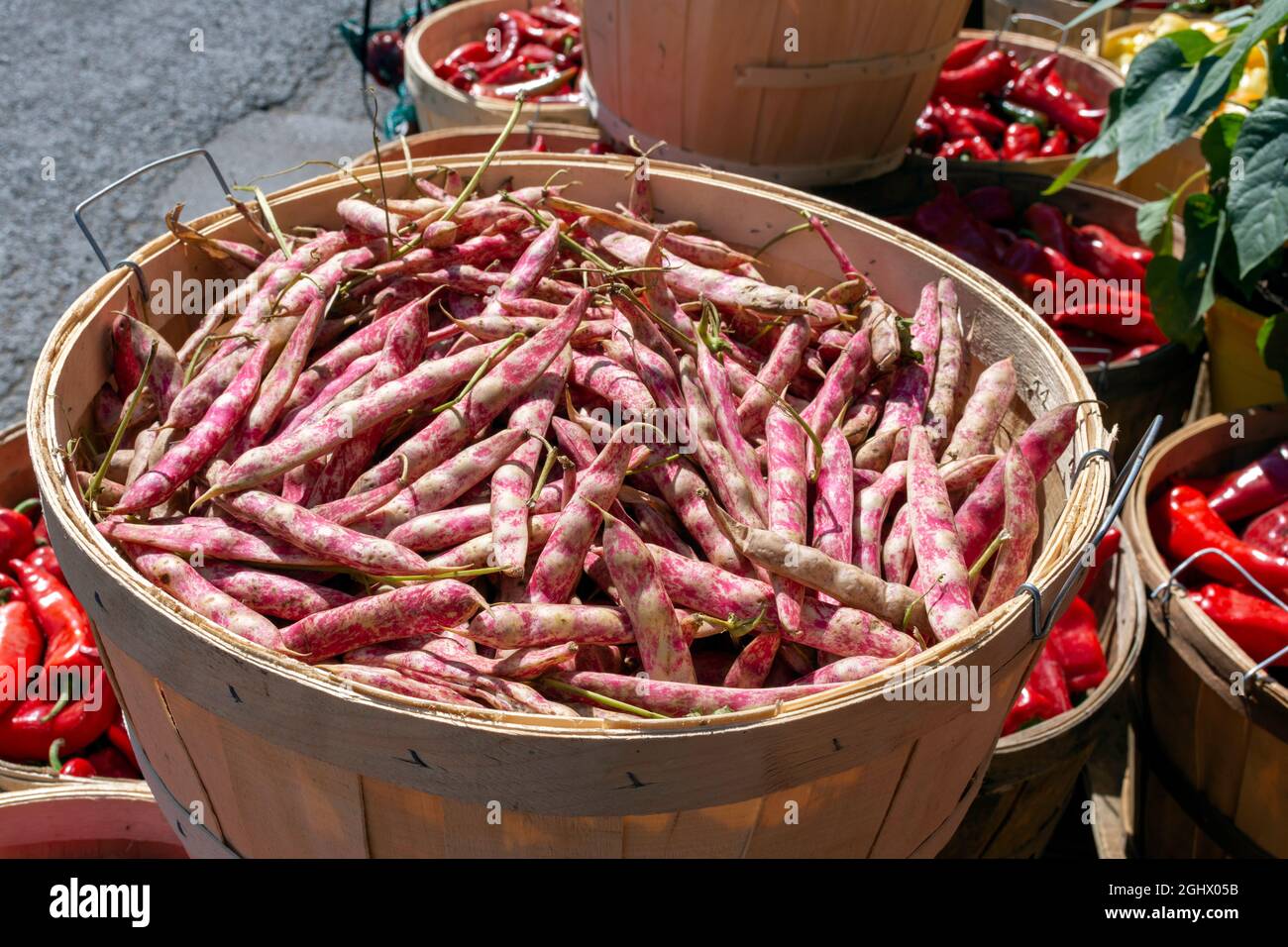 Borlotti rosa e bianco o fagioli di mirtilli sono visti con peperoni rossi al mercato. Foto Stock