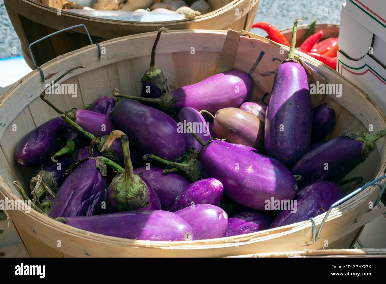 Una raccolta fresca di un cesto di bushel riempito di melanzane è visto al mercato. Foto Stock