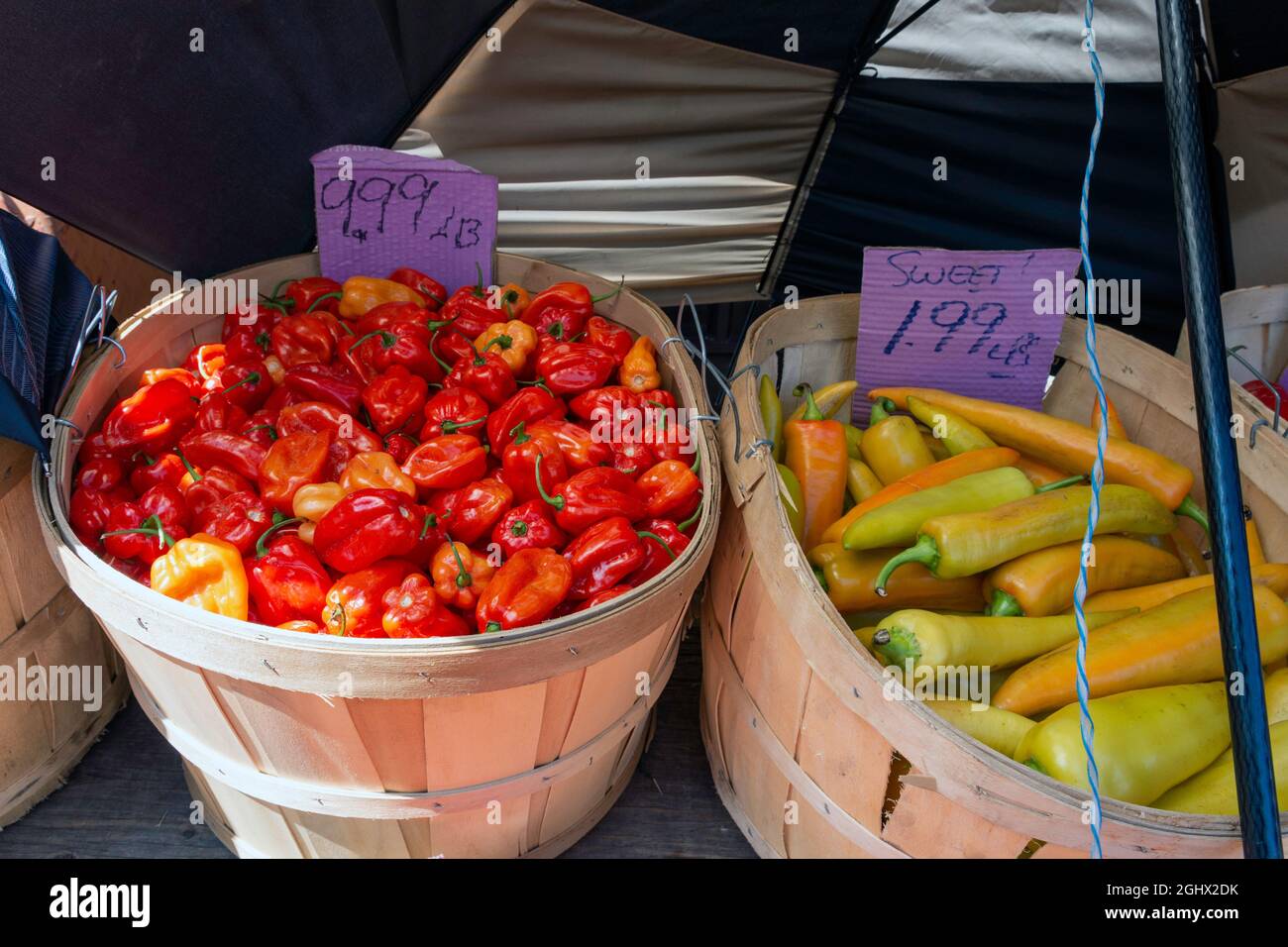 Un raccolto di cesti di peperoncini rossi freschi caldi è visto al mercato. Foto Stock