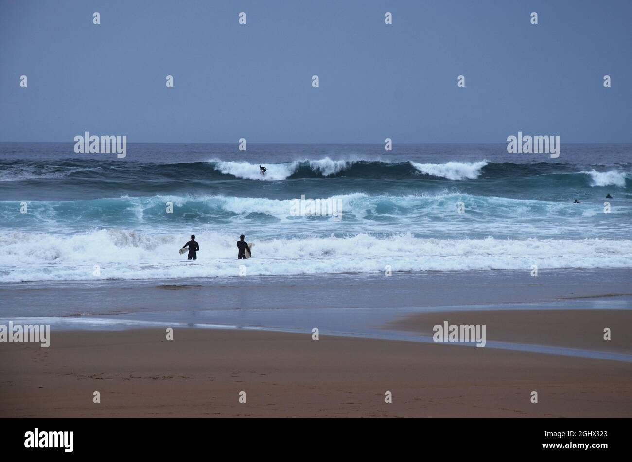 Surfers sulla costa dell'Algarve. Praia do Beliche. Sagres, Portogallo. Foto Stock