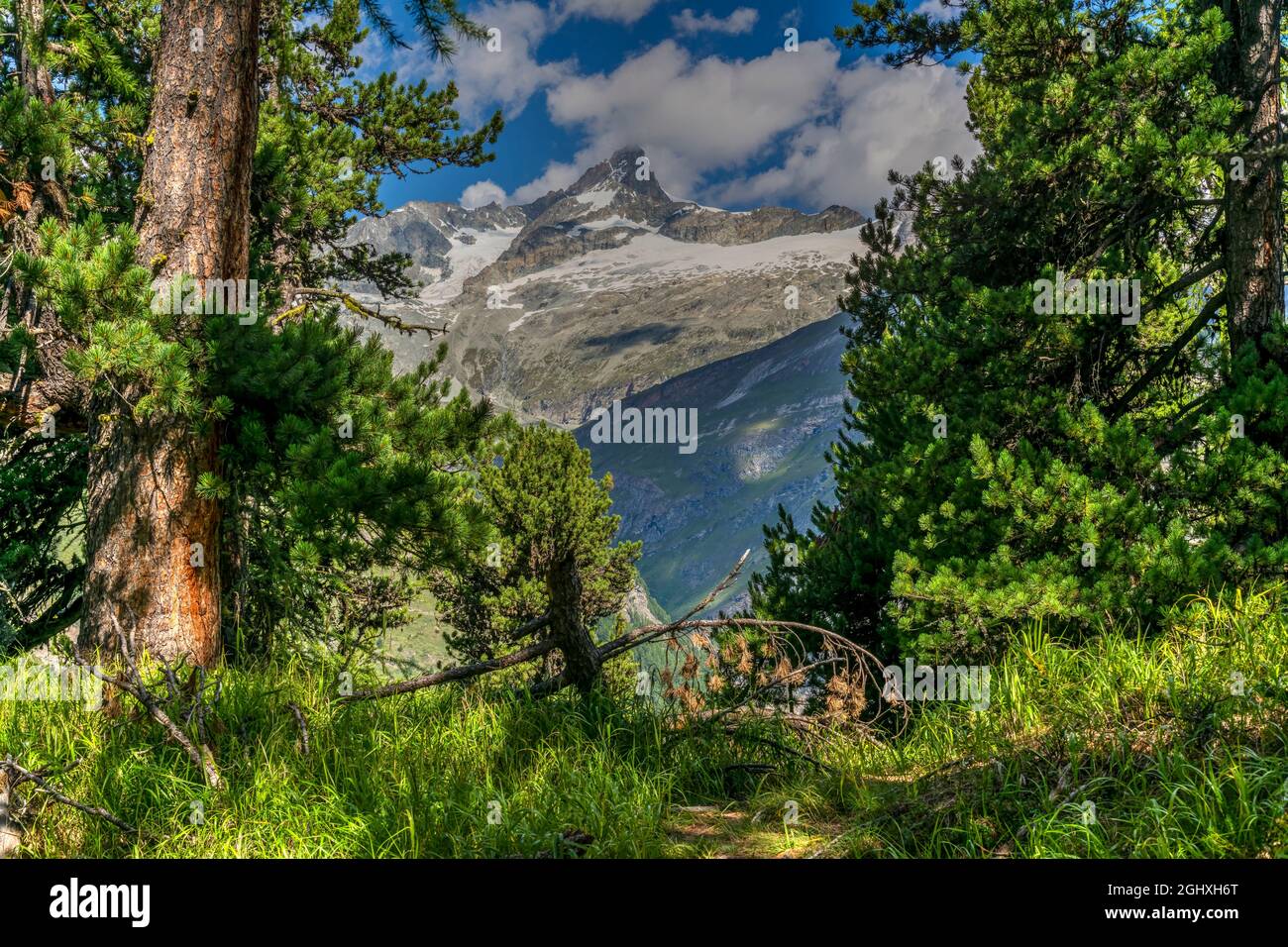 Vista panoramica sulla montagna estiva, Zermatt, Vallese, Svizzera Foto Stock