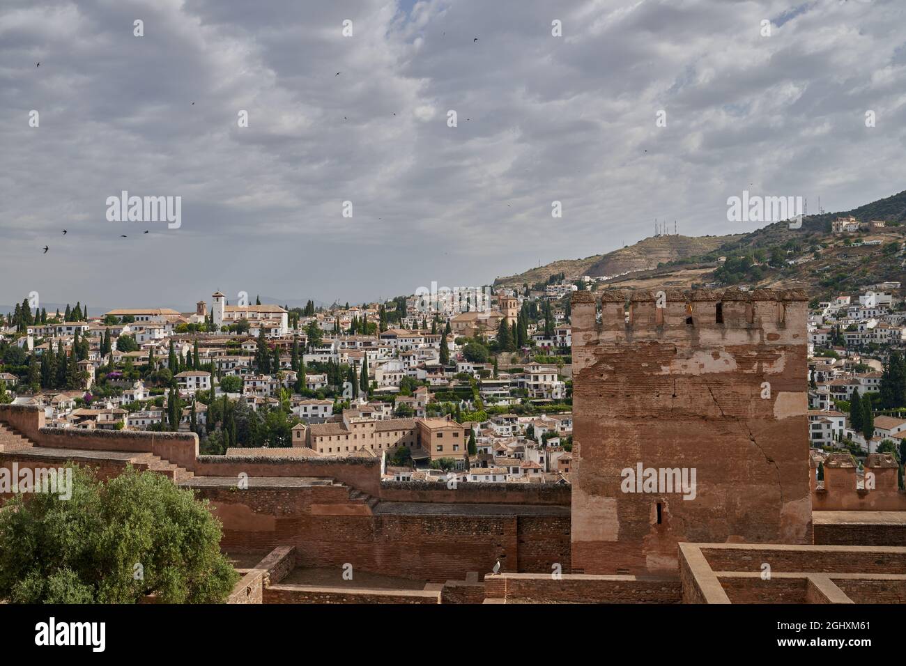 Vista dell'Alhambra e Granada in Spagna. Foto Stock