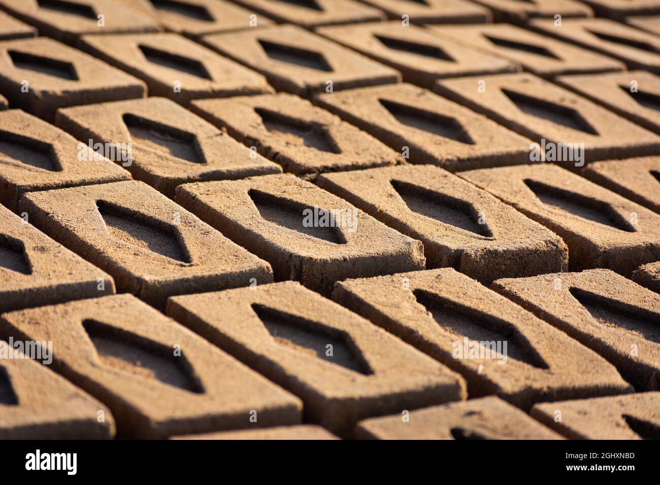 Mattoni fatti a mano da argilla bagnata e fango sono tenuti per asciugare prima del processo di combustione. Produzione tradizionale di mattoni di creta in India. Foto Stock