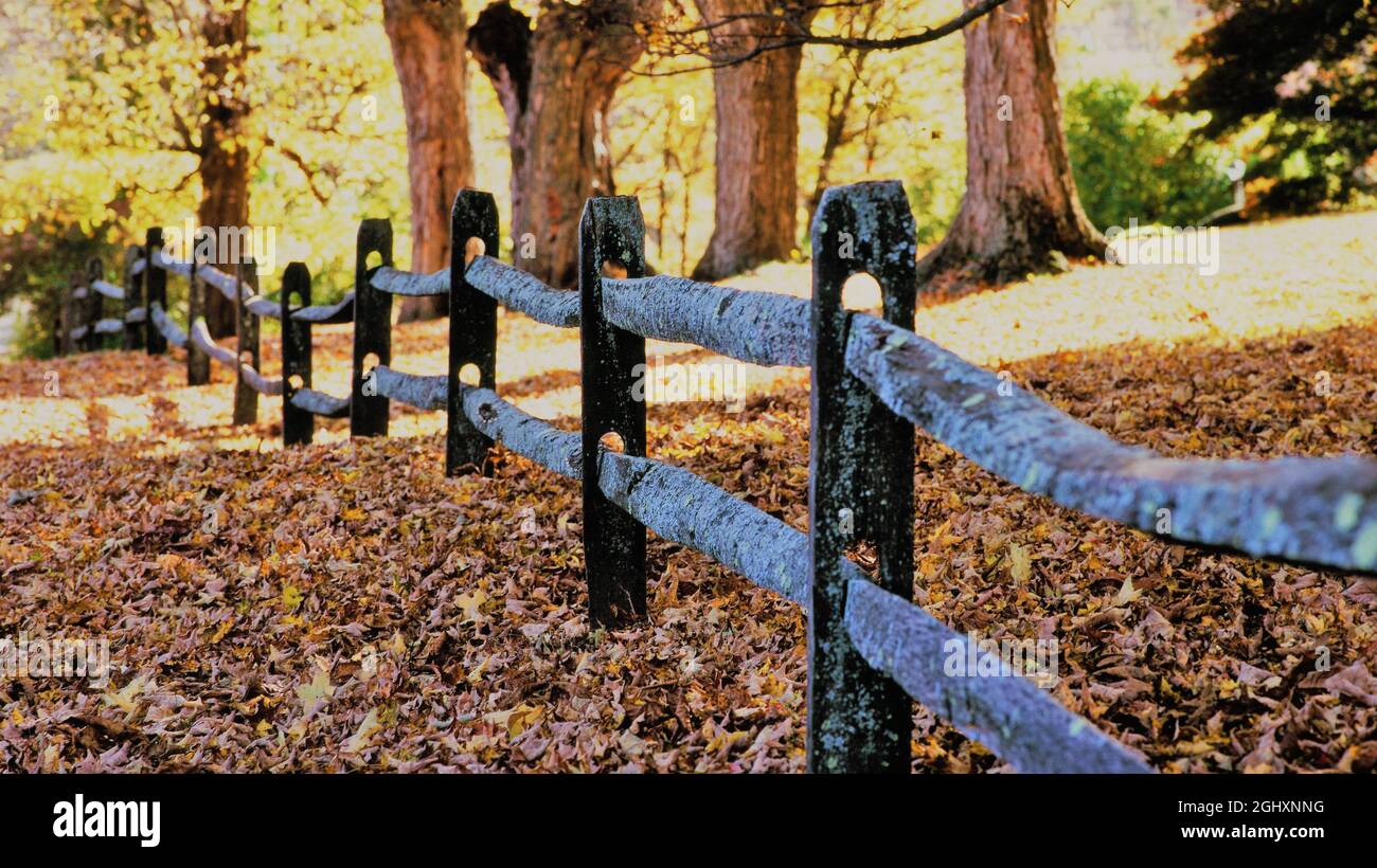 Recinzione in legno del New England a rotaia divisa in autunno Foto Stock