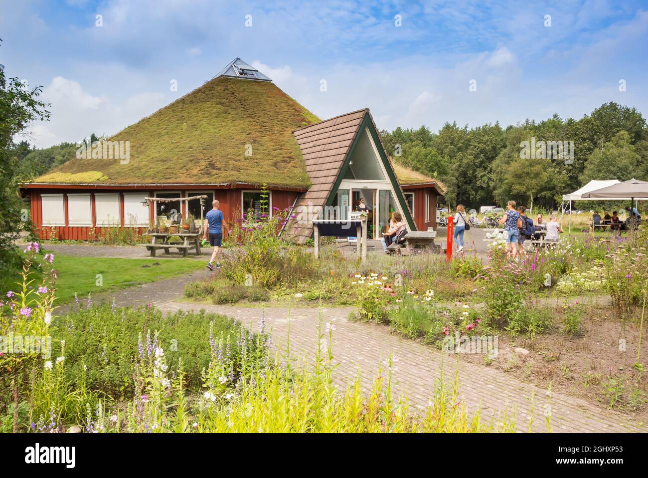 Cortile sul retro del centro visitatori e informazioni turistiche nel Parco Nazionale Dwingelderveld, Paesi Bassi Foto Stock