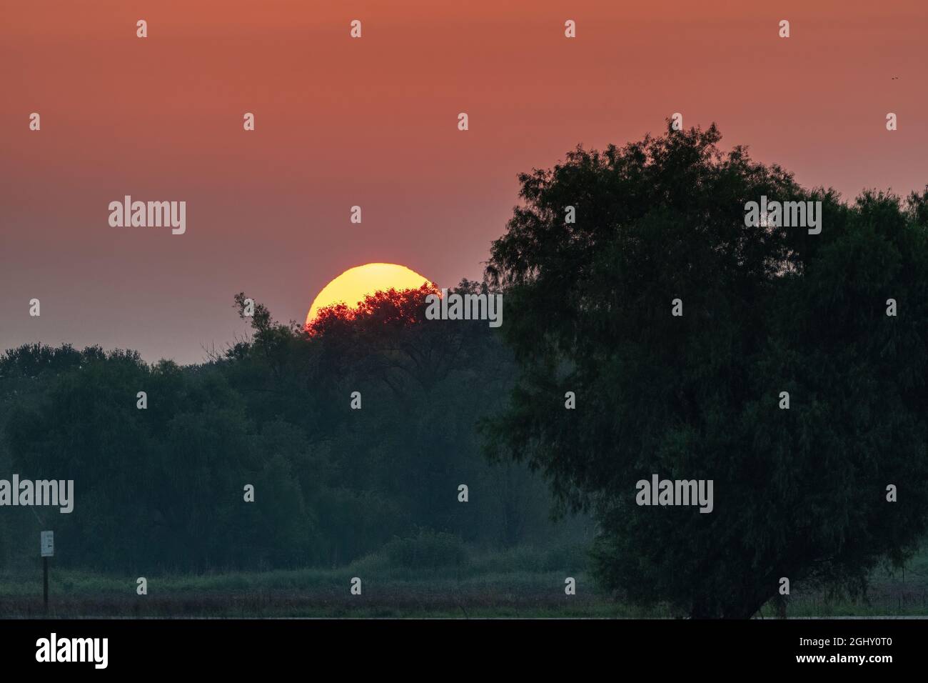 Alba tranquilla in un rifugio remoto con il sole che si aggirano sugli alberi all'orizzonte nella calda luce dell'ora d'oro. Foto Stock