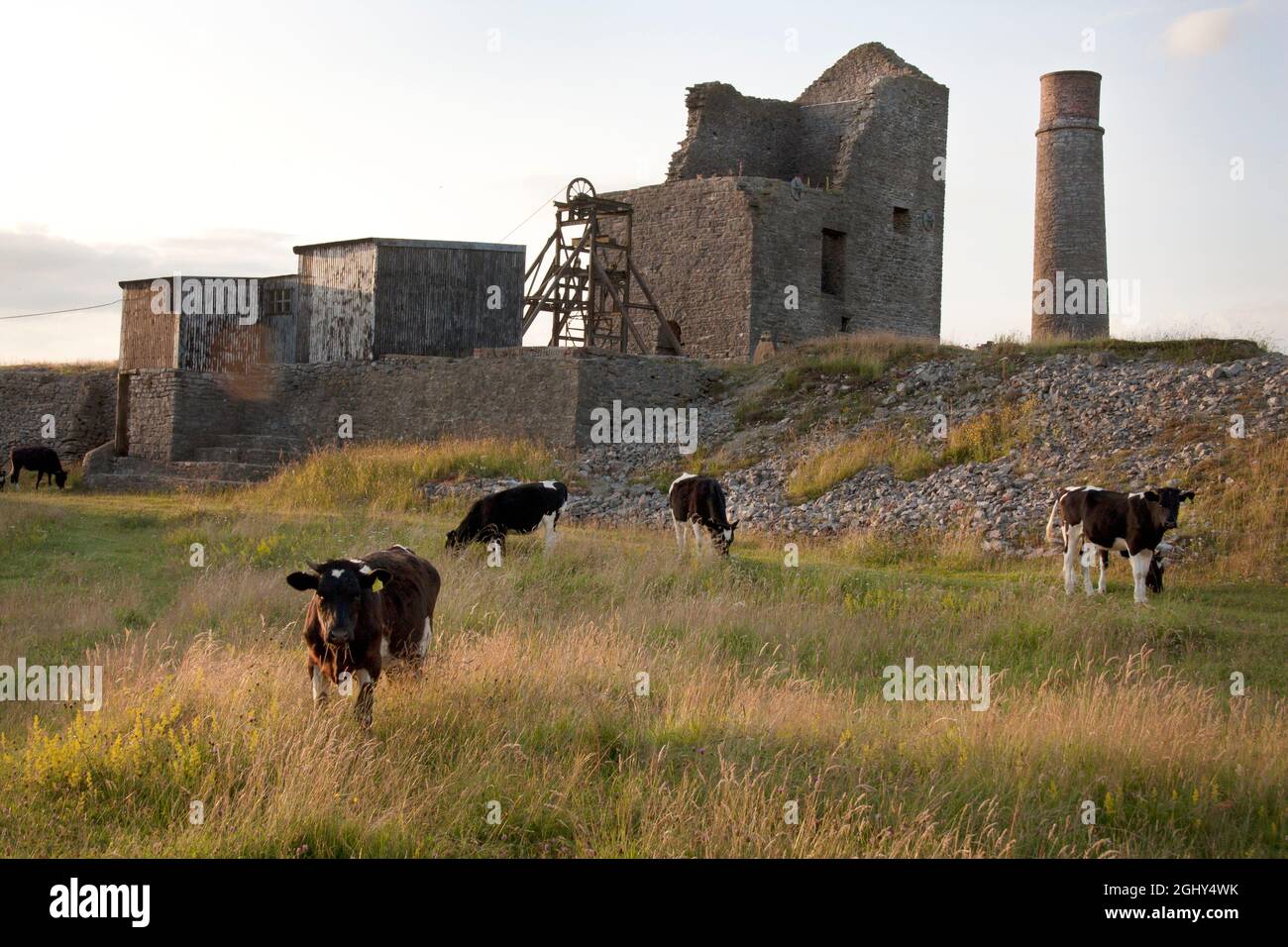 Miniere di Magpie, rovine di vecchie miniere di piombo a Sheldon, Bakewell, Peak District, Derbyshire, Inghilterra Foto Stock