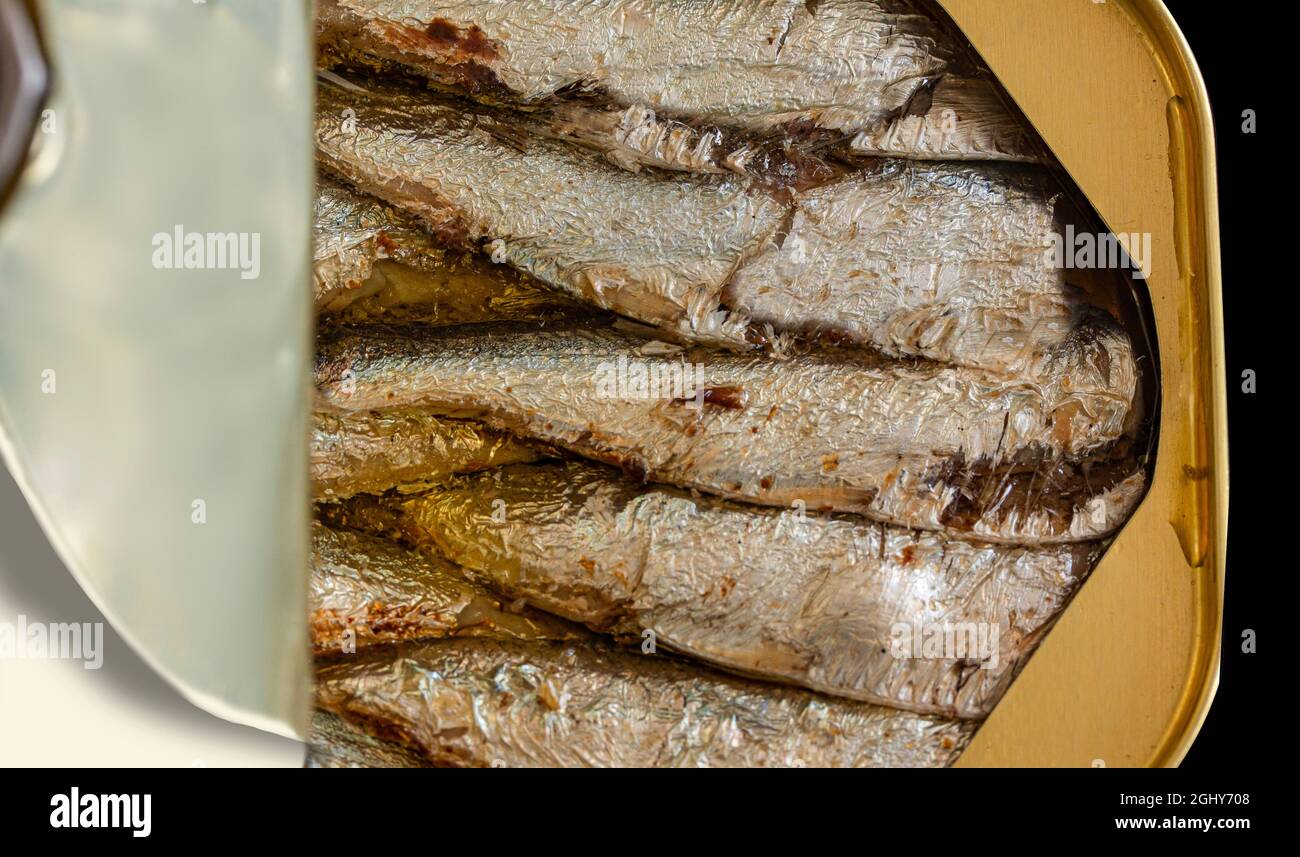 Aprire la lattina di sardine con il coperchio aperto. Foto vista dall'alto in primo piano. Foto Stock