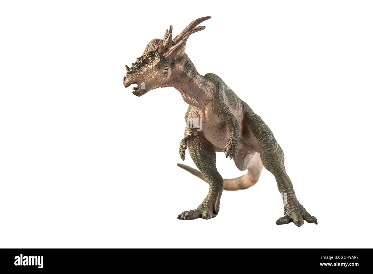 Dinosauro Stygimoloch su sfondo bianco . Foto Stock