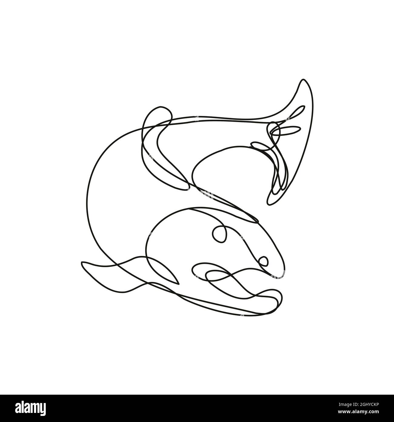 Trota del lago che salpano giù disegno continuo della linea Foto Stock