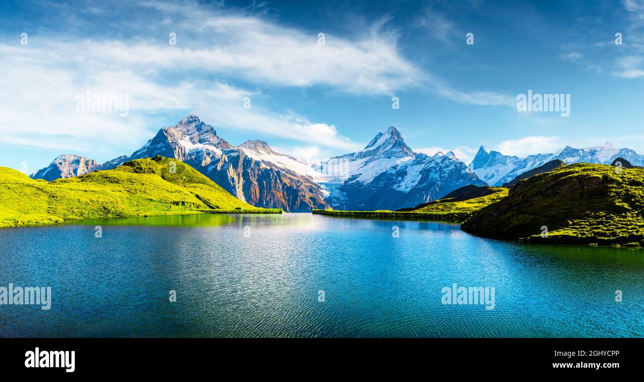 Panorama del lago di Bachalpsee sulle Alpi svizzere. Cime innevate di Wetterhorn, Mittelhorn e Rosenhorn sullo sfondo. Valle di Grindelwald, Svizzera. Fotografia di paesaggio Foto Stock