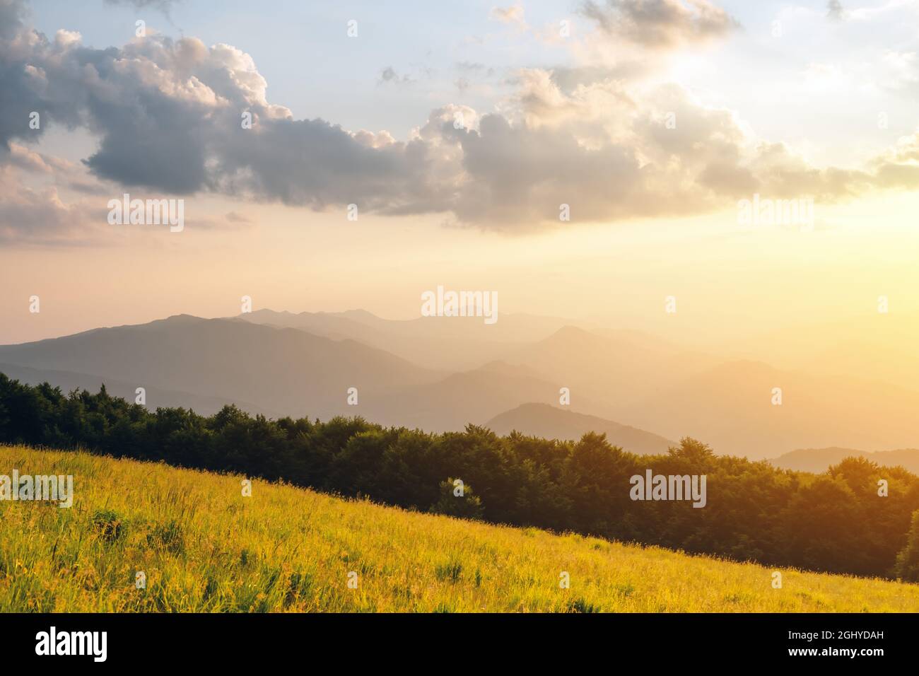 Scena incredibile in montagna d'estate. Prati verdi e lussureggianti in una fantastica luce del sole serale. Carpazi, Europa. Fotografia di paesaggio Foto Stock