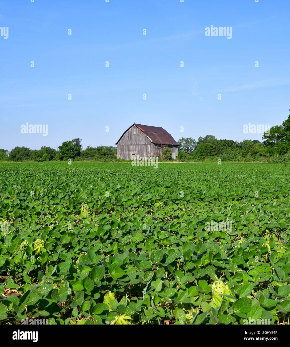 Campagna rurale tempo e vecchio fienile Foto Stock