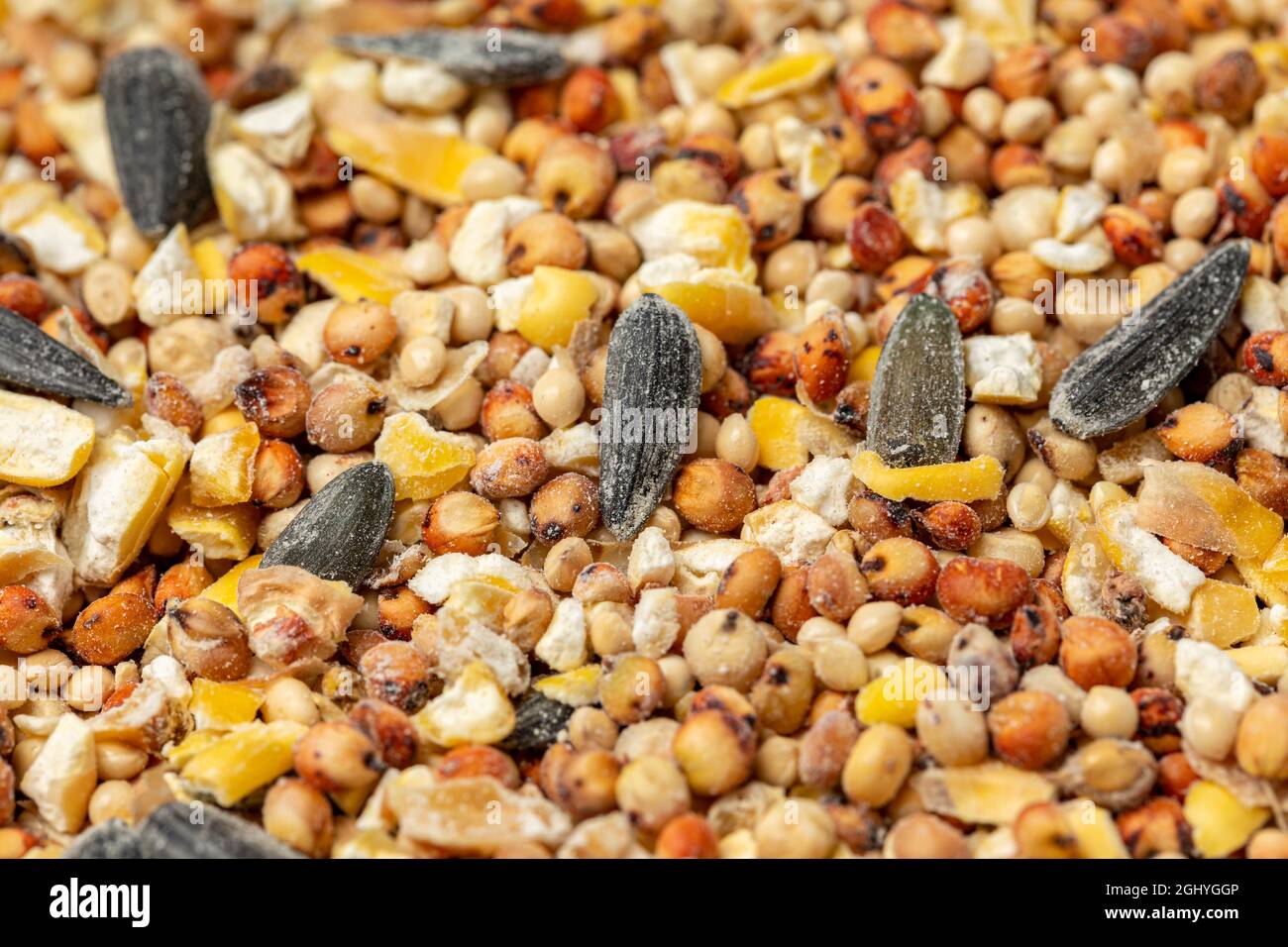 Primo piano della miscela di semi di uccelli di mais cracked, semi di girasole e miglio. Concetto di alimentatore di uccelli cortile, cibo di uccelli e fauna selvatica Foto Stock